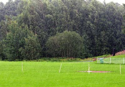 090726_22.jpg