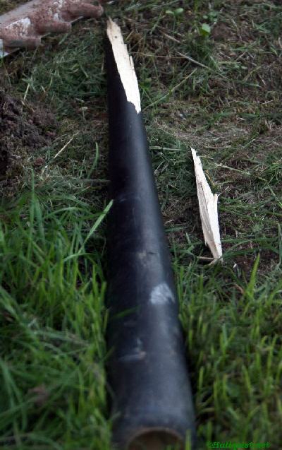 100807_10.jpg