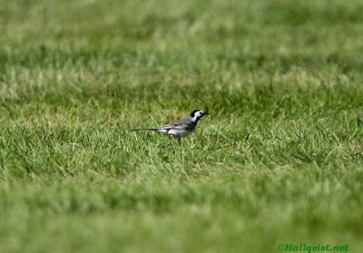 140525_19.jpg