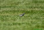140525_19.jpg