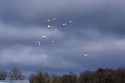 080316_03.jpg