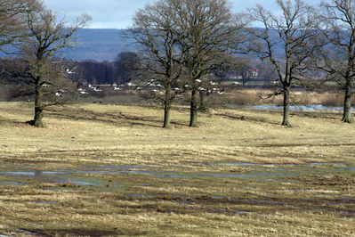 080316_07.jpg