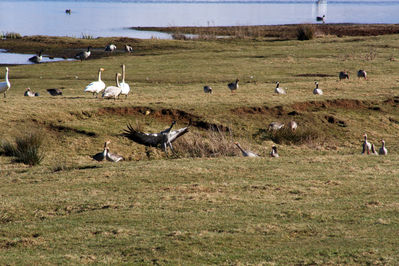080316_18.jpg