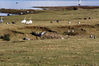 080316_18.jpg