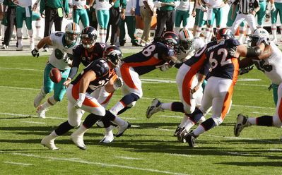 db_07.jpg