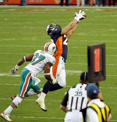 db_26.jpg