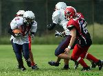 Filename=110730b_06.jpg
Filesize=108KiB
Dimensions=800x592
Date added=Jul 31, 2011 110730b_06.jpg
