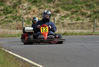 gokart_22r.jpg