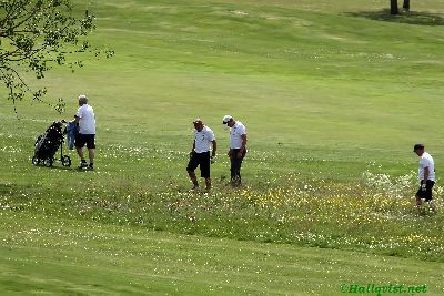 110618_44.jpg