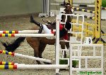 110205_55.jpg