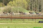 150501_48.jpg
