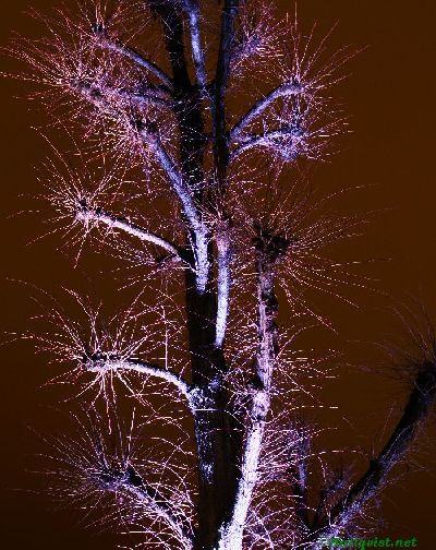 101119_07.jpg