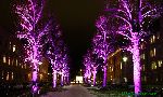 101119_03.jpg