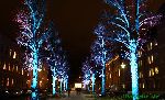 101119_04.jpg