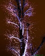 101119_07.jpg