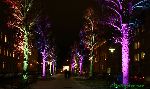 101119_11.jpg