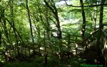 120527_04.jpg