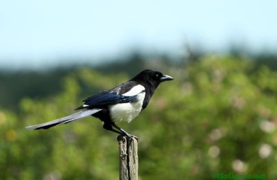 120622_03.jpg