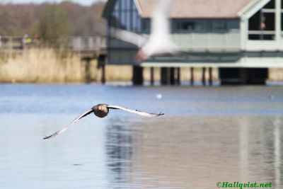 160506_11.jpg