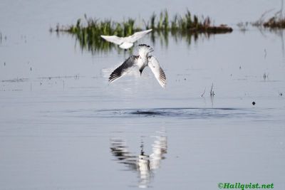 160506_12.jpg