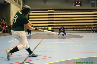 smsoftboll_036.jpg