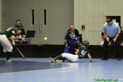smsoftboll_040.jpg