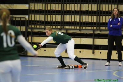smsoftboll_043.jpg