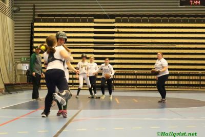 smsoftboll_108.jpg