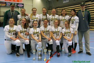 smsoftboll_141.jpg