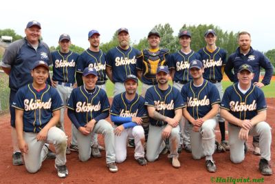 swe_team.jpg