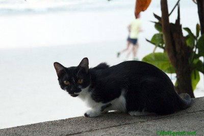 thai12_035.jpg