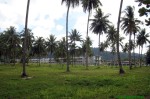 thai12_054.jpg