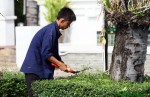 thai12_112.jpg