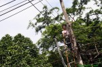 thai12_120.jpg