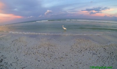 mex13_007.jpg