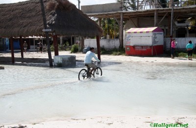 mex13_034.jpg