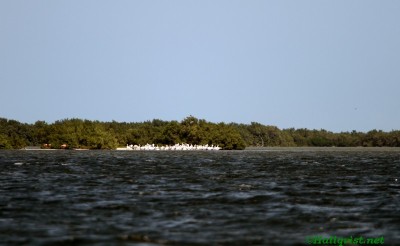 mex13_069.jpg