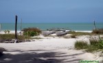 mex13_009.jpg