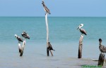 mex13_017.jpg