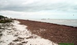 mex13_047.jpg