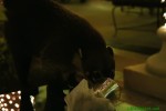 mex13_092.jpg