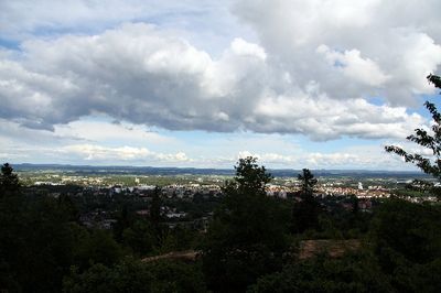 chase080616_02.jpg