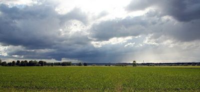 chase080616_07.jpg
