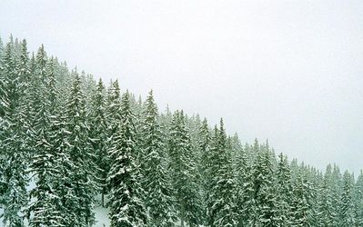 04.jpg