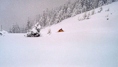 05.jpg